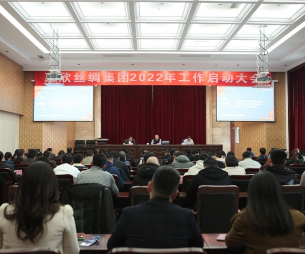 w66集团丝绸集团召开2022年工作启动大会