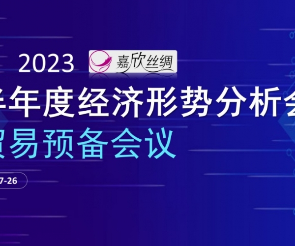 业务总额不变，业务质量提升 w66集团丝绸召开2023半年度经济局势分析会业务预备会议