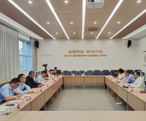 ?广西西宁市委书记秦春成辅导一行光临调研