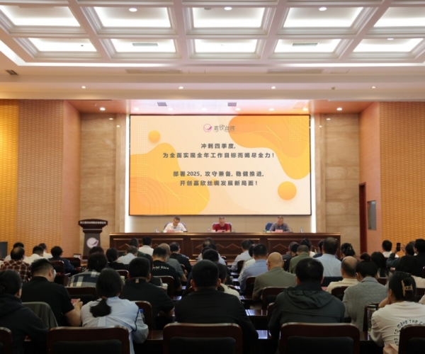 w66集团丝绸2024年三季度经济局势分析会顺利召开