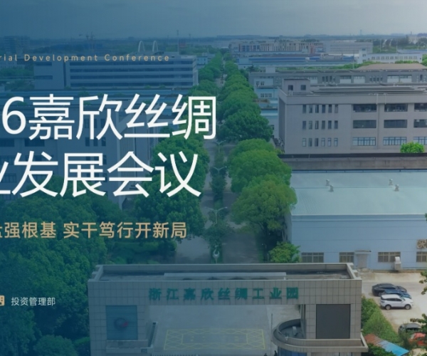 求实复盘强根基 实干笃行开新局——w66集团丝绸召开2026工业发展会议